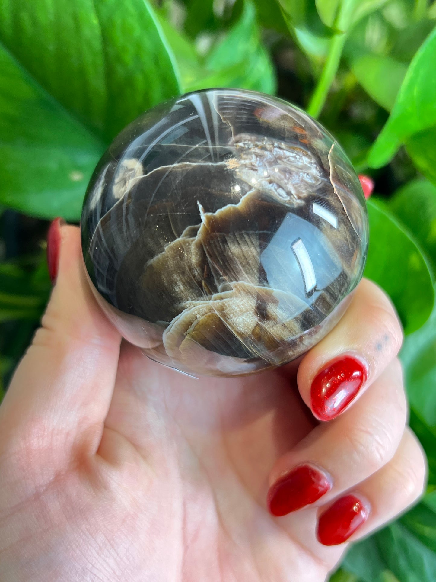 Petrified Wood Sphere - S