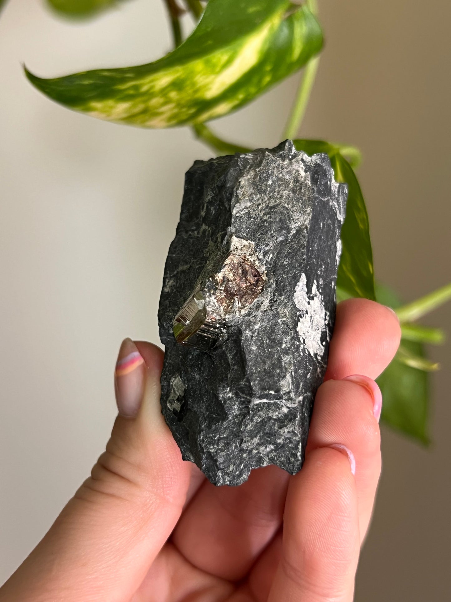 Pyrite on Matrix - Ontario - P