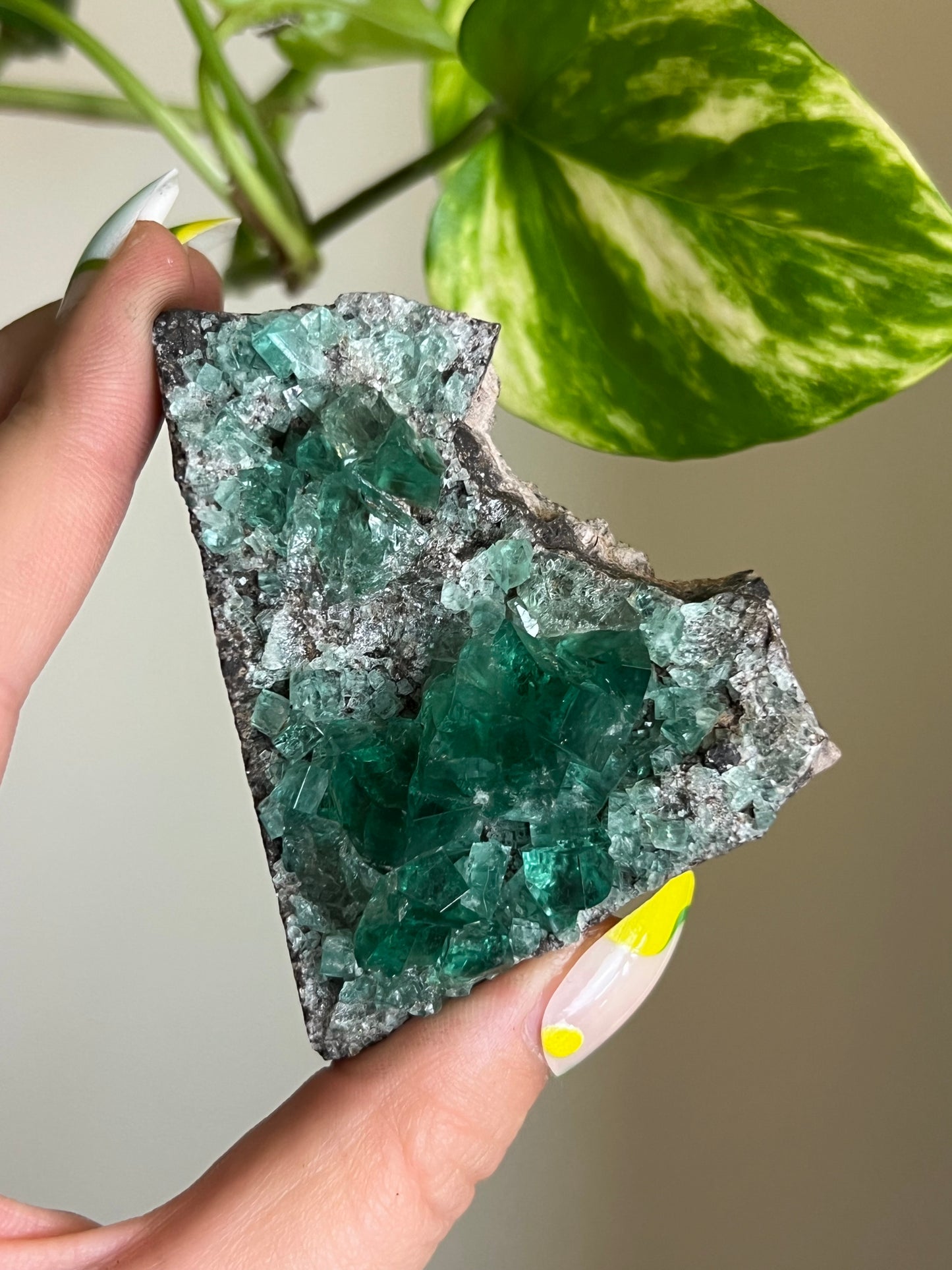 Green Cubic Fluorite Cluster - Z