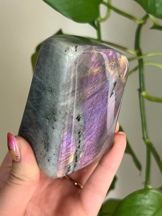 Flashy Purple and Pink Labradorite Freeform - Large