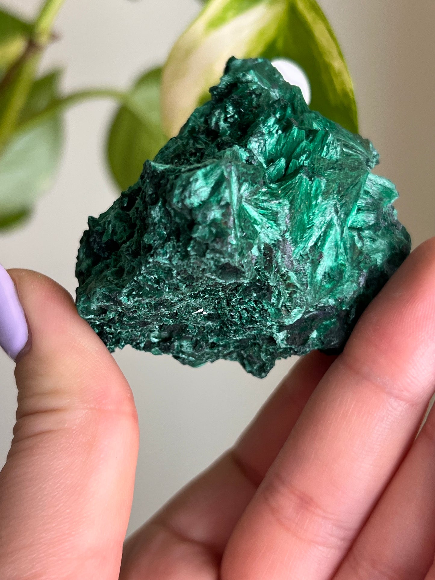 Fibrous Malachite - E