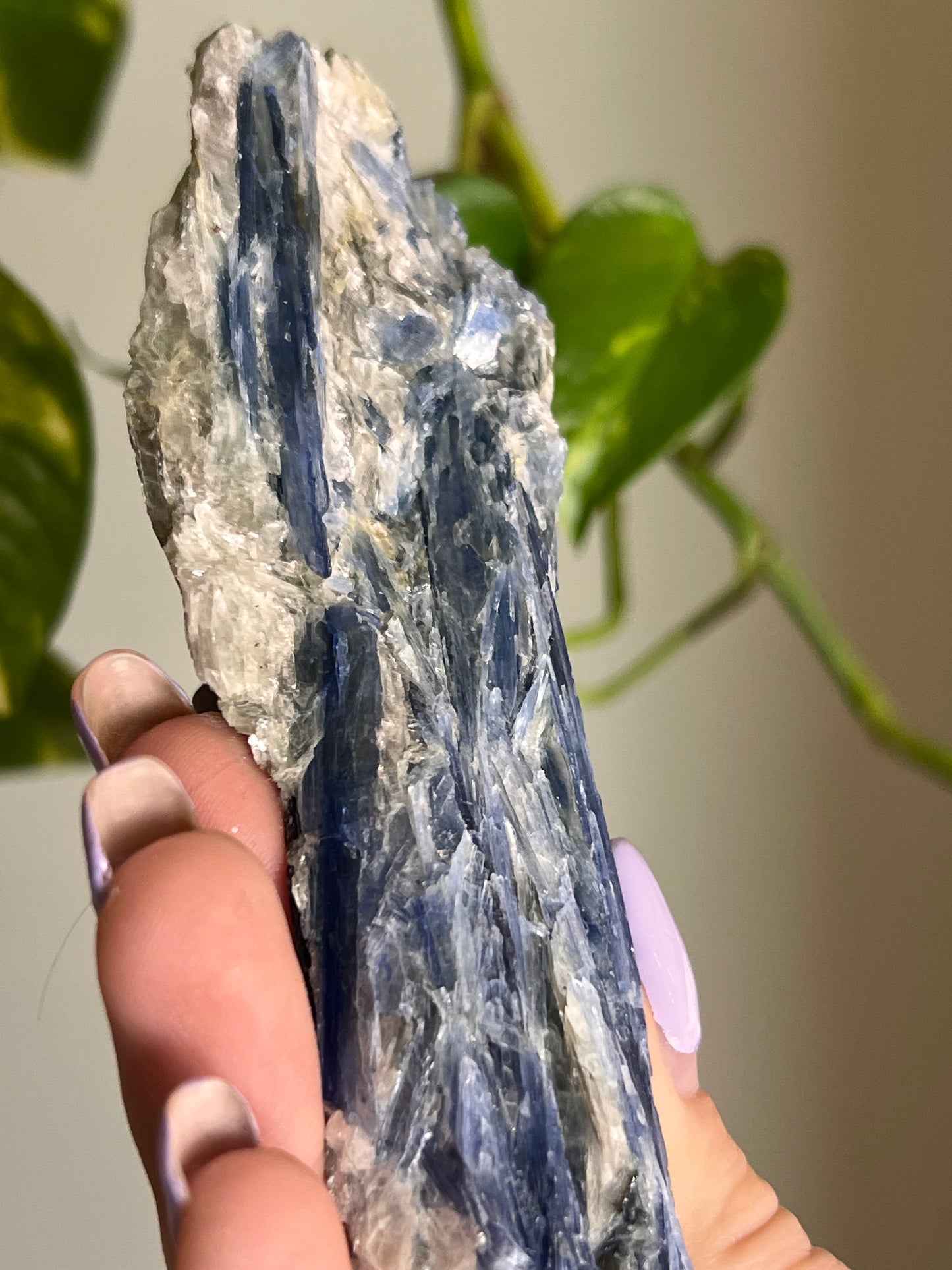 Blue Kyanite Raw Blade