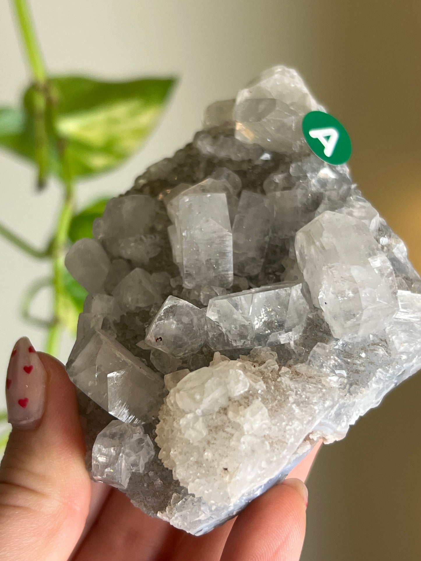 Apophyllite x Chalcedony Cluster - A