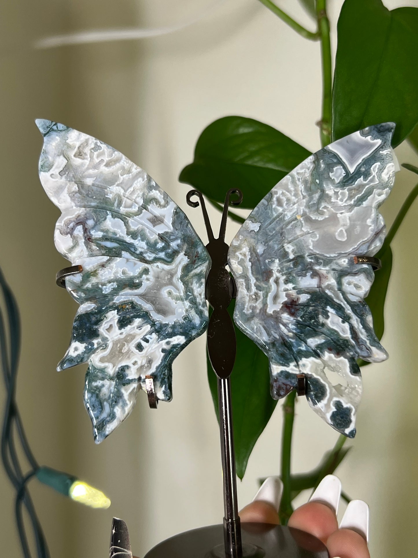 Moss Agate Butterfly Statement P