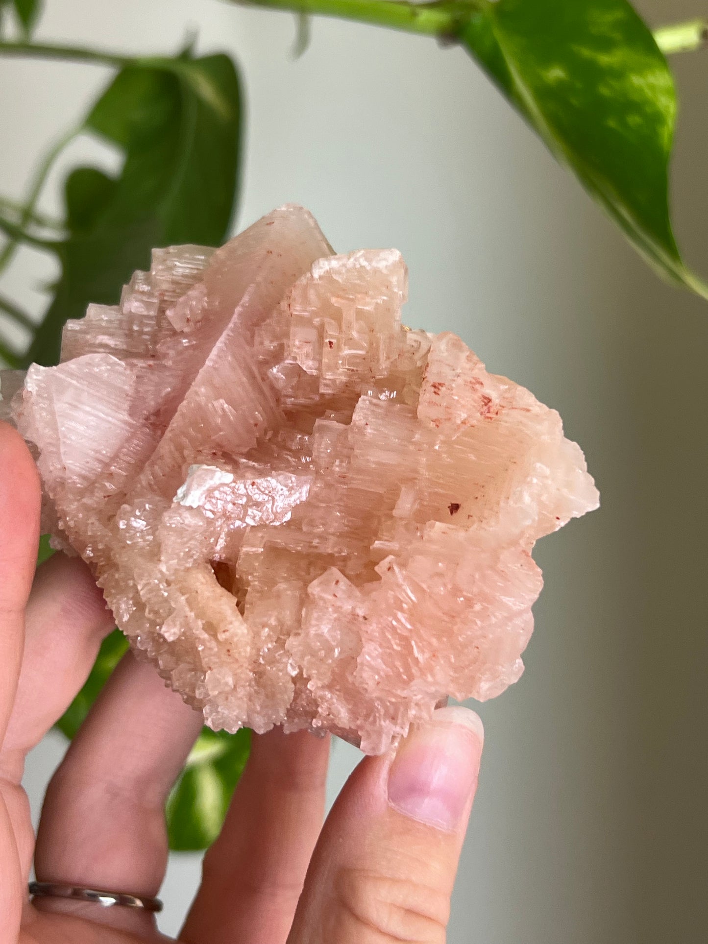 Pink Halite "Flower" Cluster 🌸