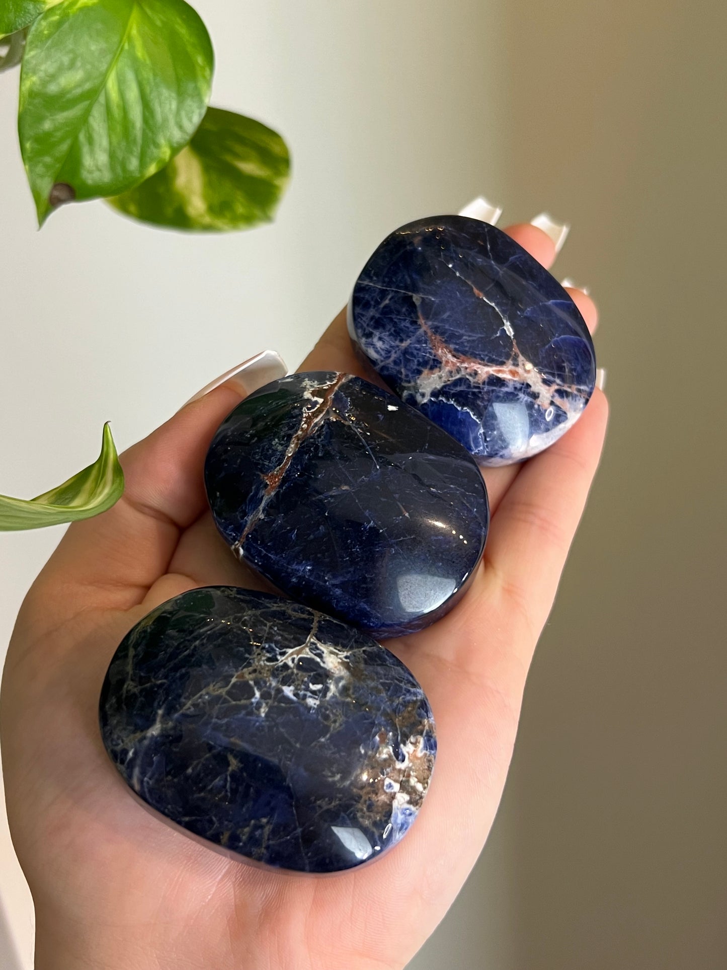 Sodalite Palm Stone
