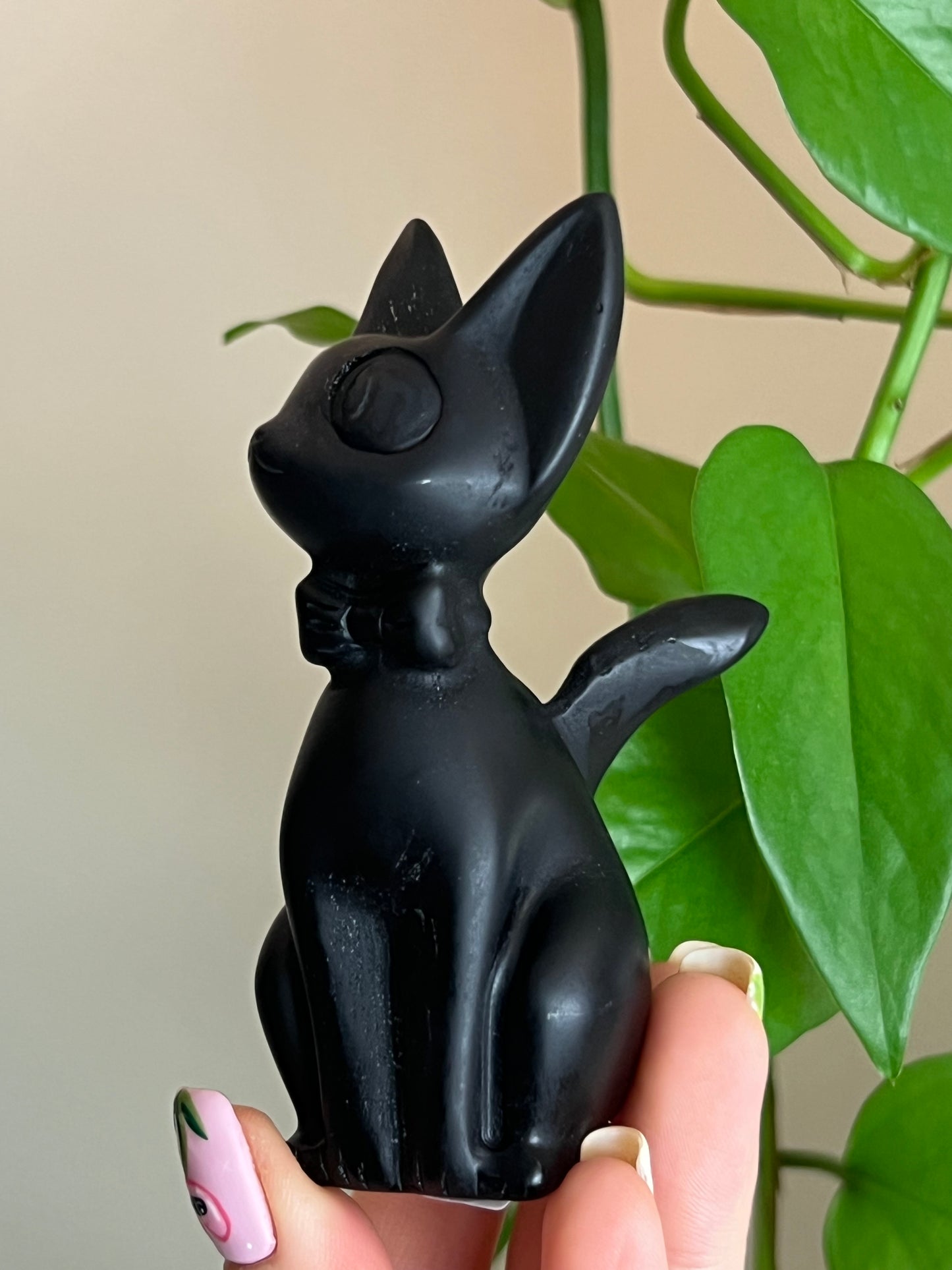 Black Obsidian Jiji