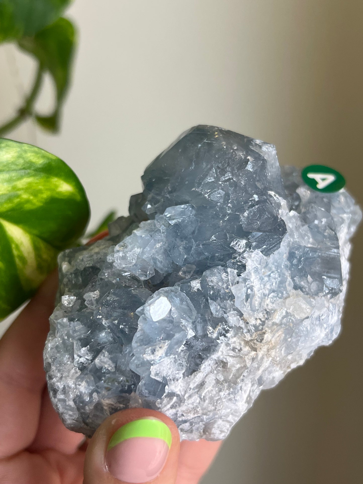Celestite Cluster - A 🌊