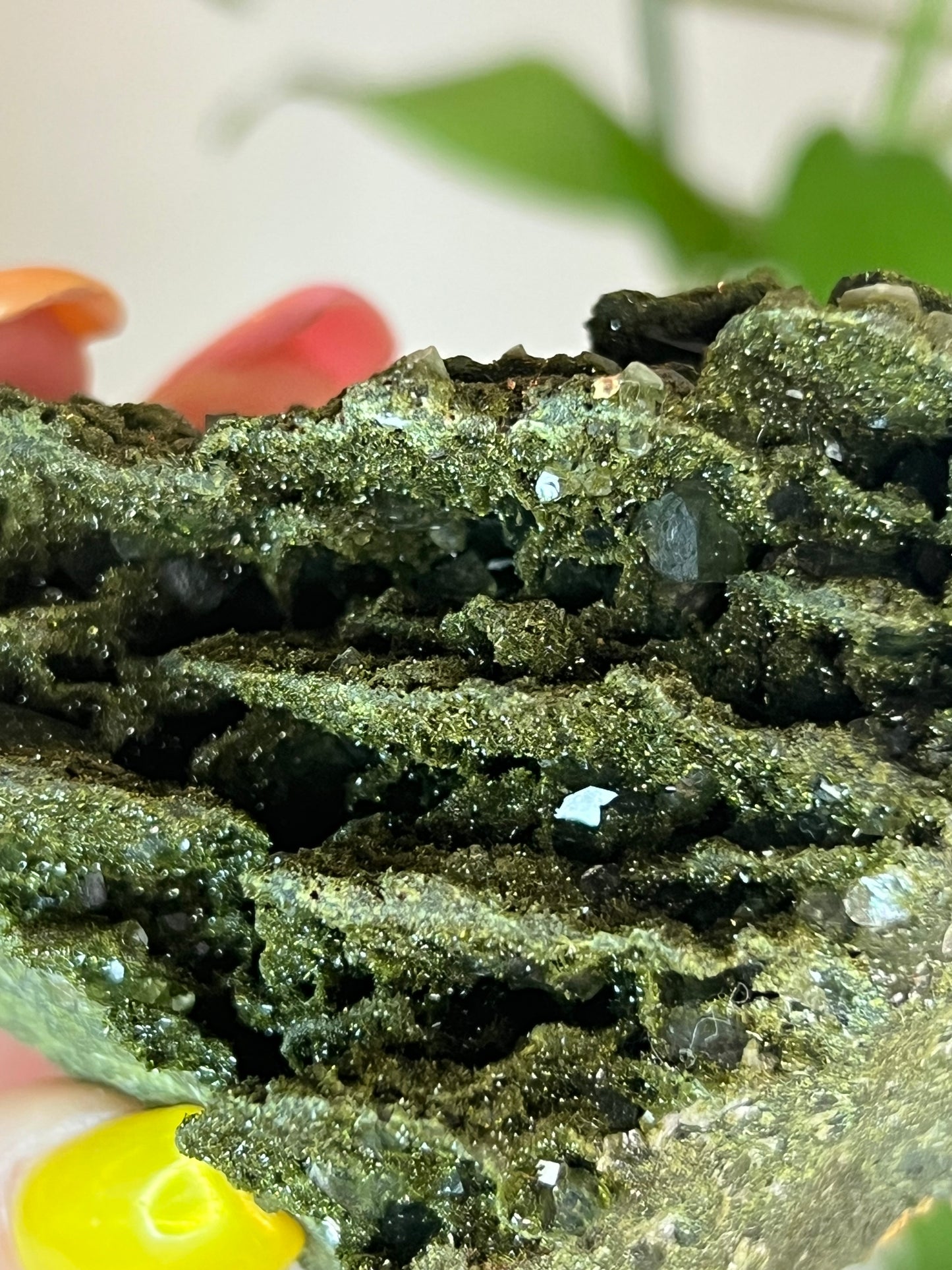 Forest Epidote Quartz Cluster - XLarge