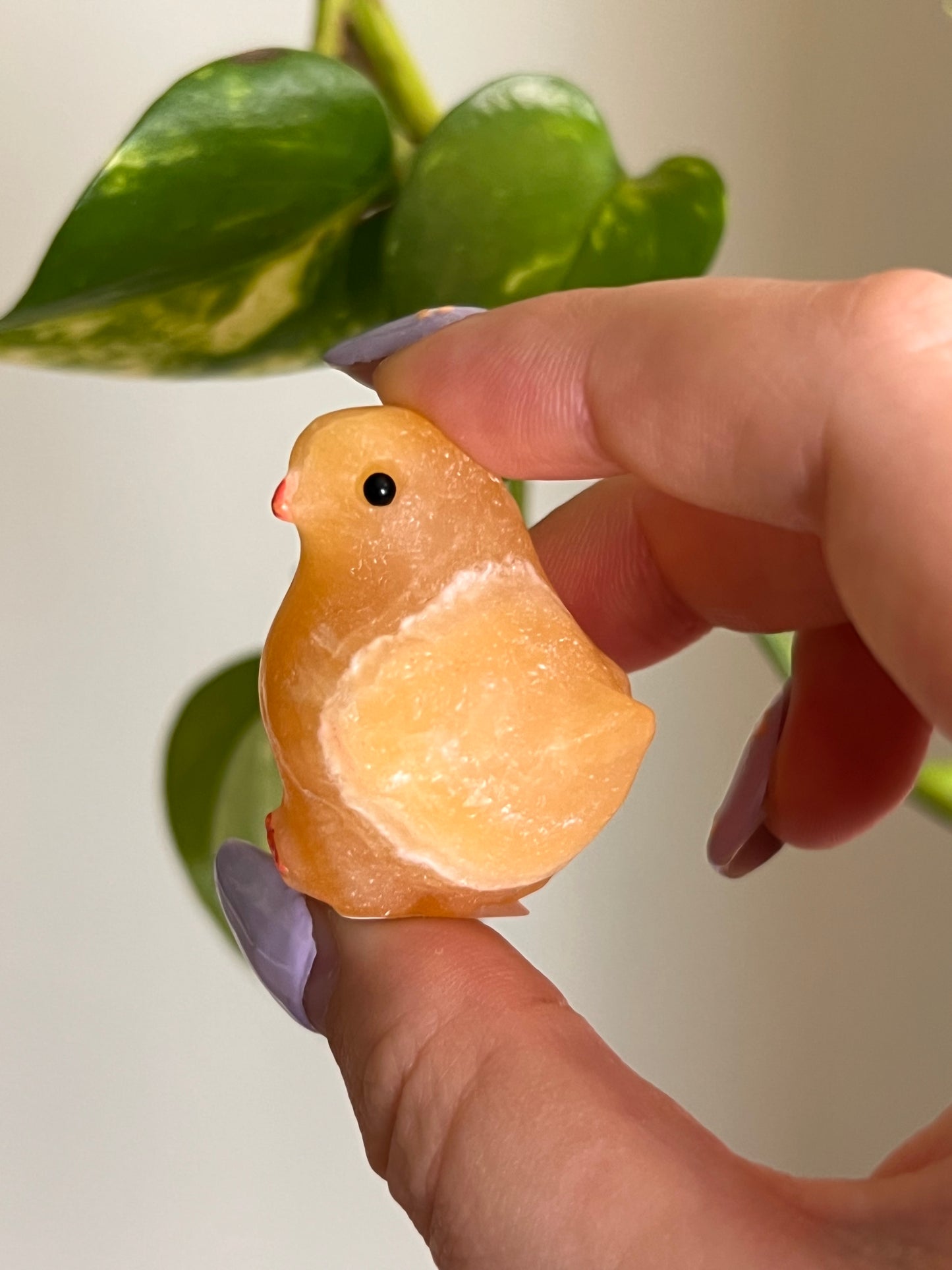 Orange Calcite Chick