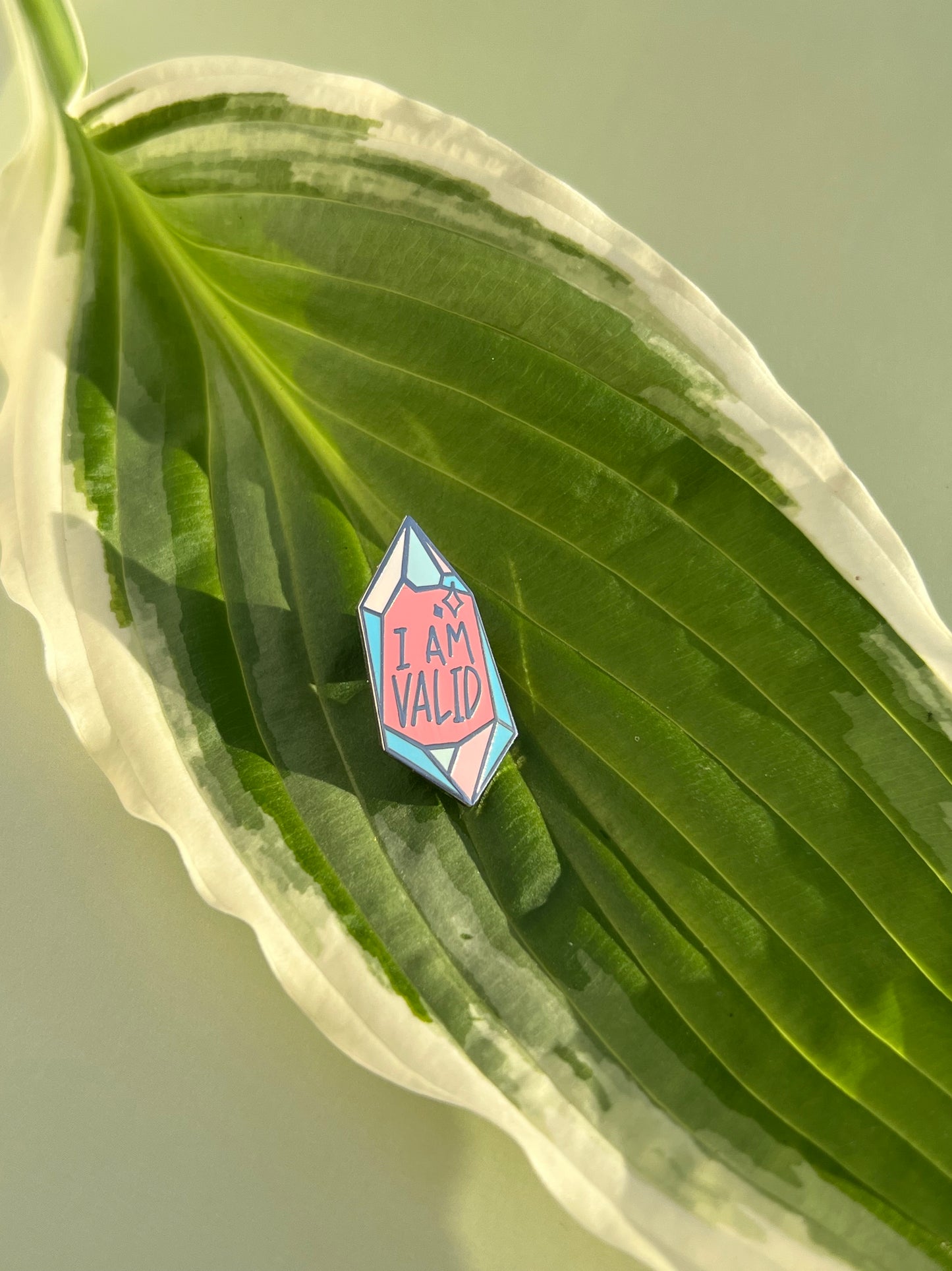 I Am Valid Crystal Pin