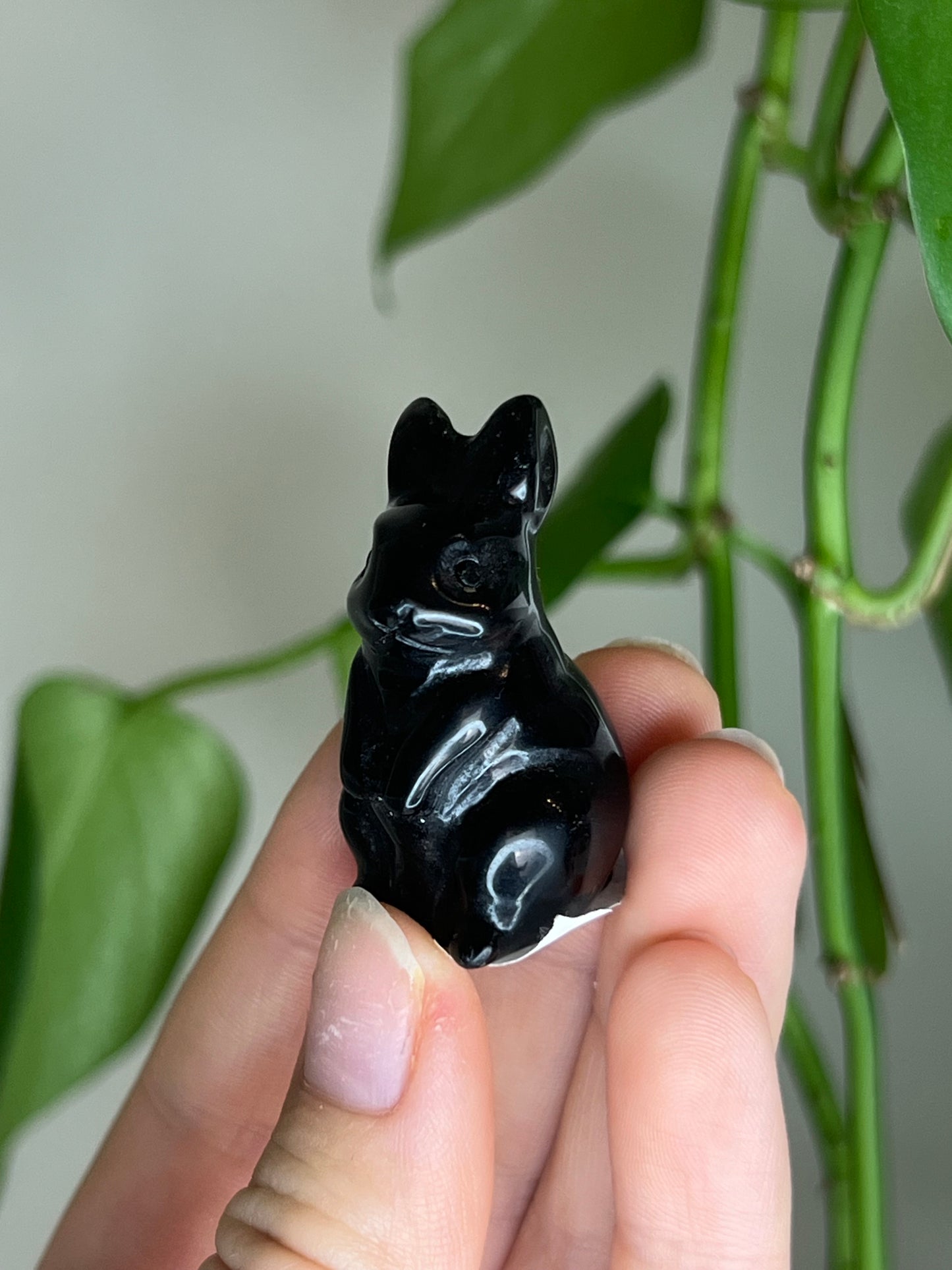 Black Obsidian Rabbit