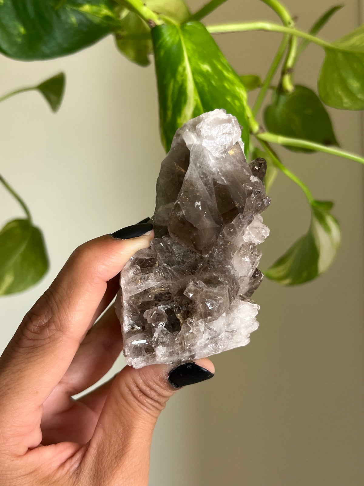 Smoky Quartz Cluster