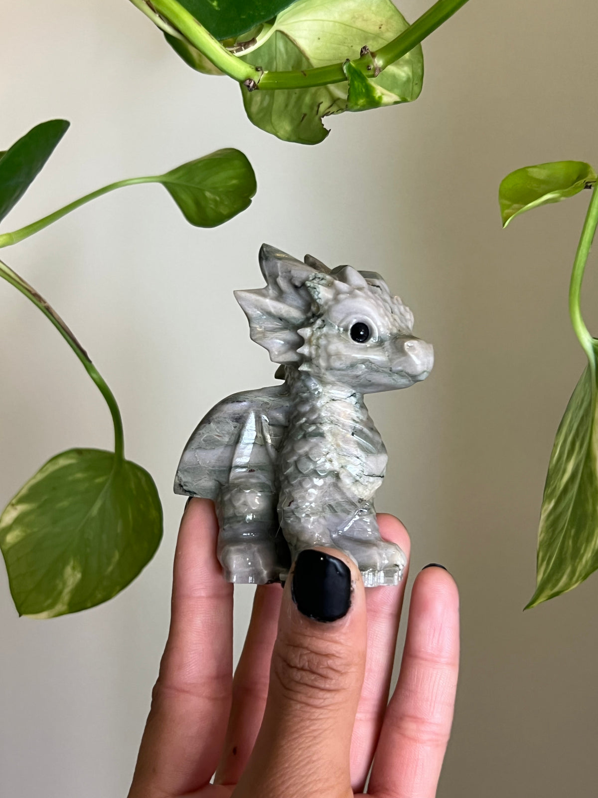 Peace Jade Dragon