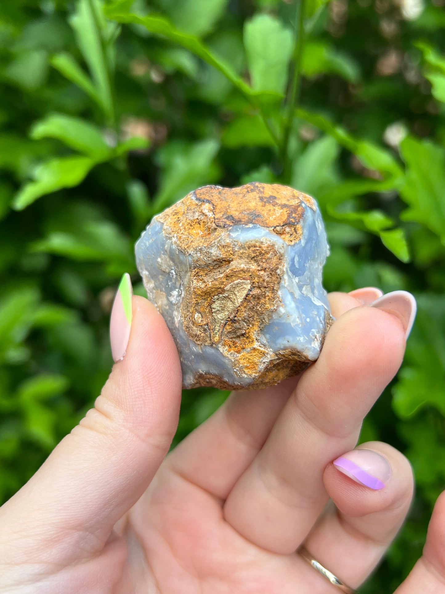 Druzy Blue Lace Agate Geode - A