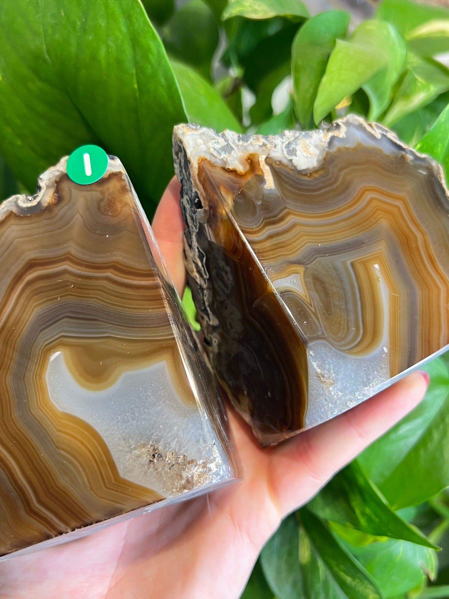 Agate Druzy Bookends - i