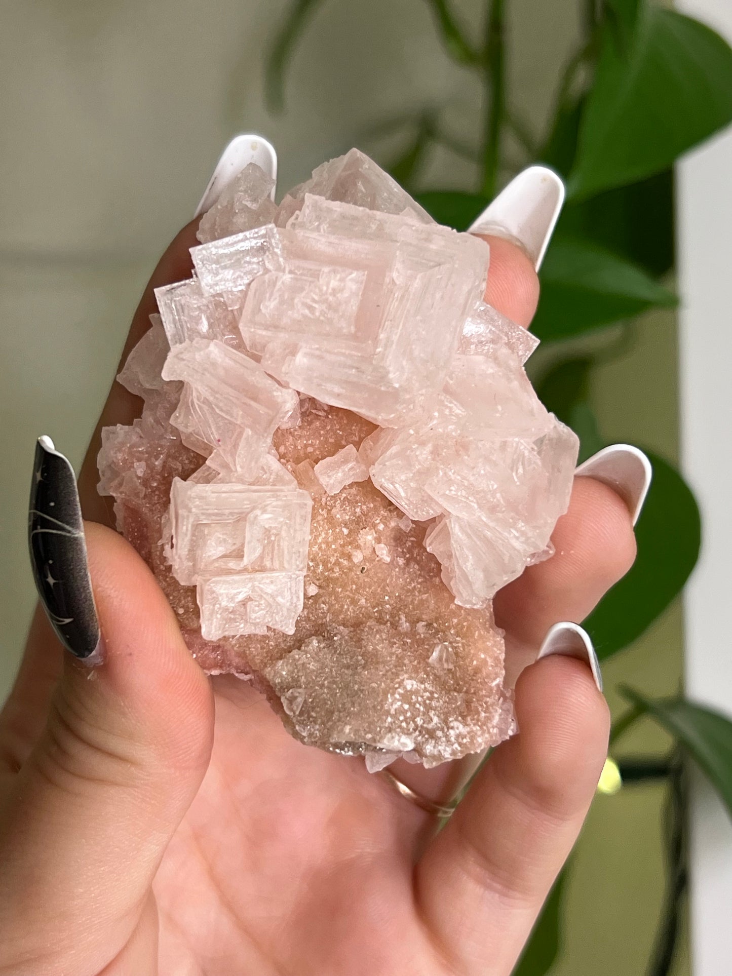 Pink Halite Cluster T | Rare