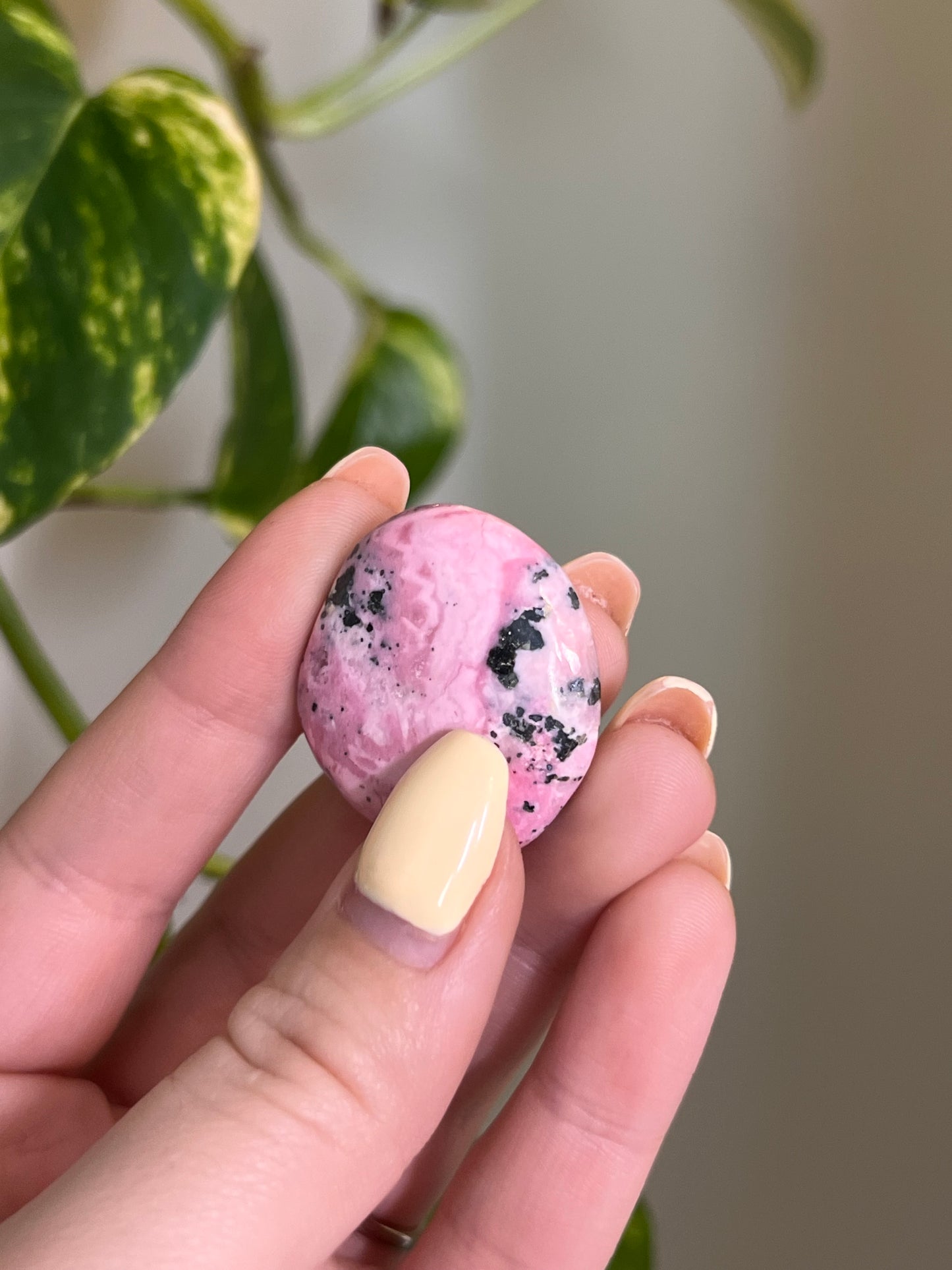 Bubblegum Rhodonite Button
