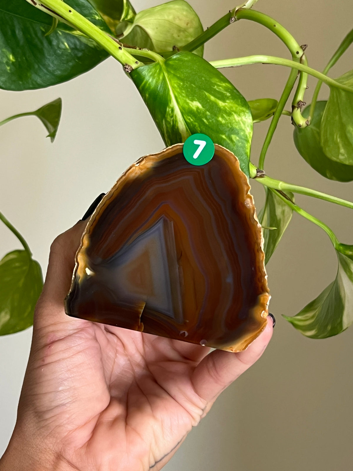 Red + Blue Agate Freeform - 7
