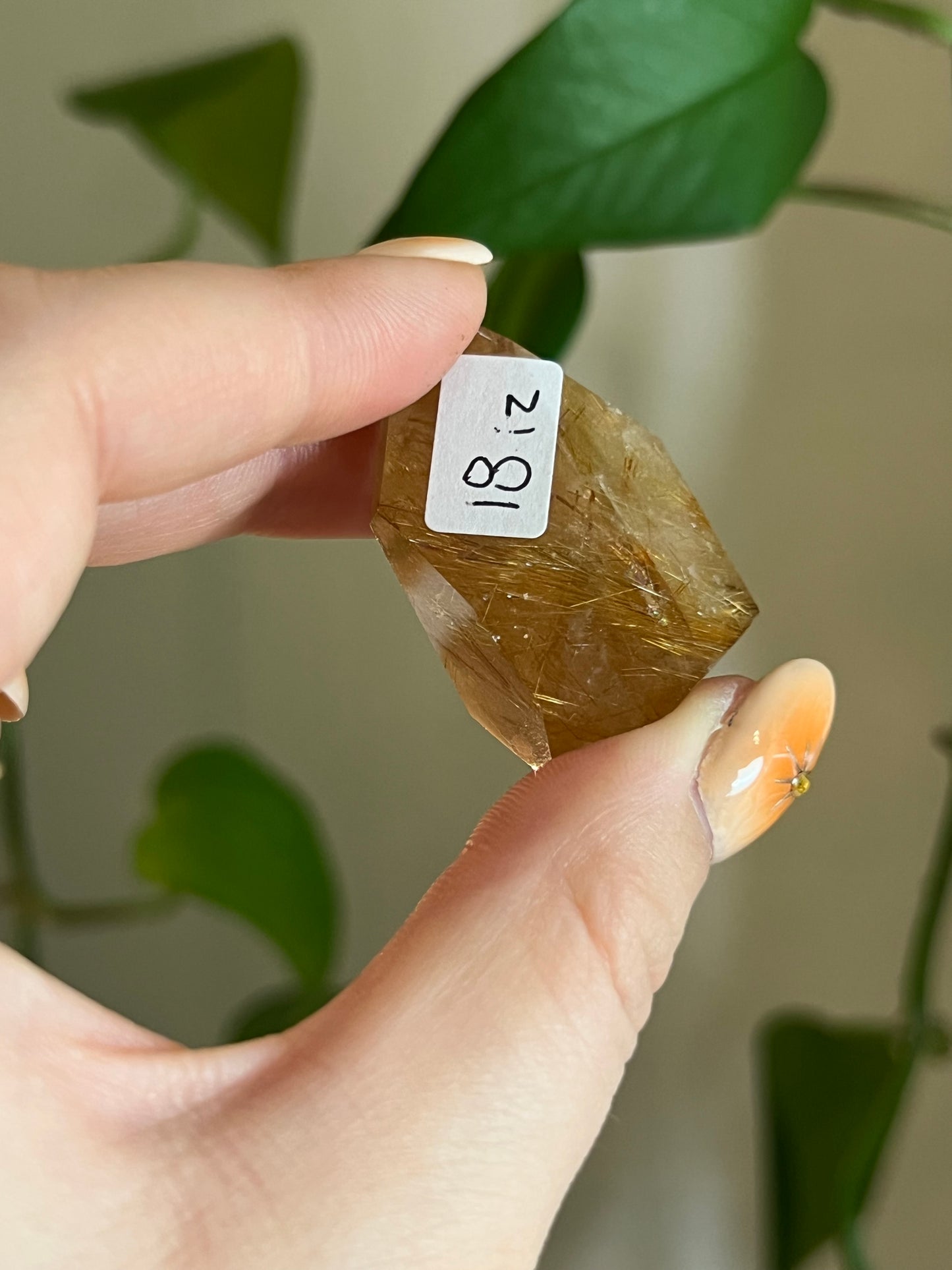 Golden Rutile Quartz Gusher - IZ
