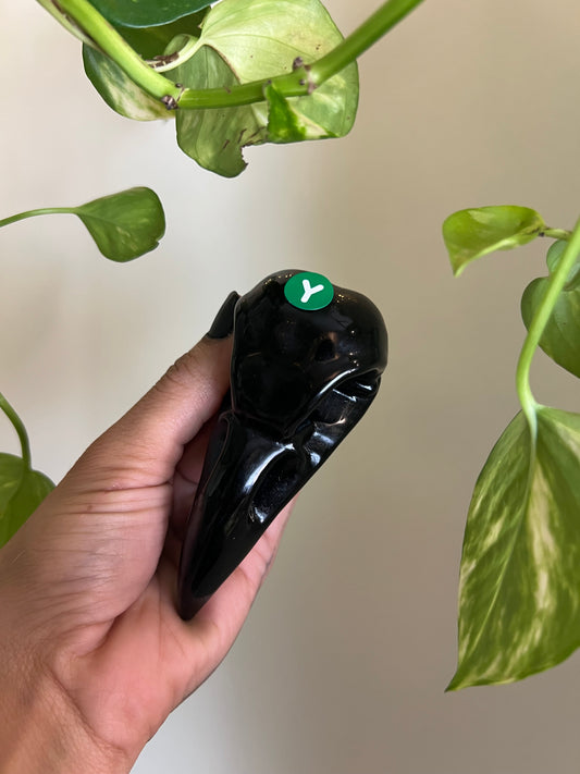Black Obsidian Raven - Y