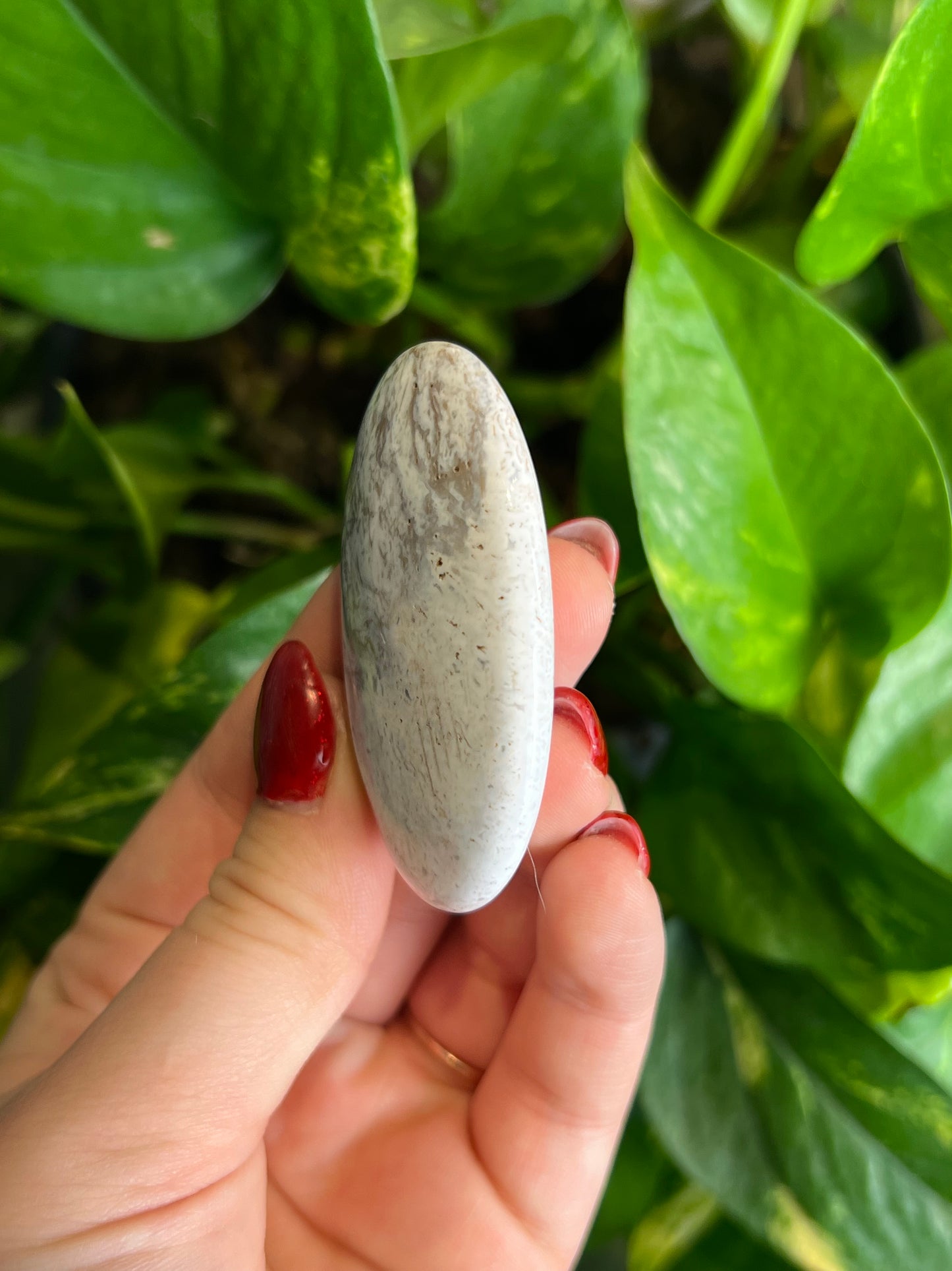 White Ocean Jasper Small Palm