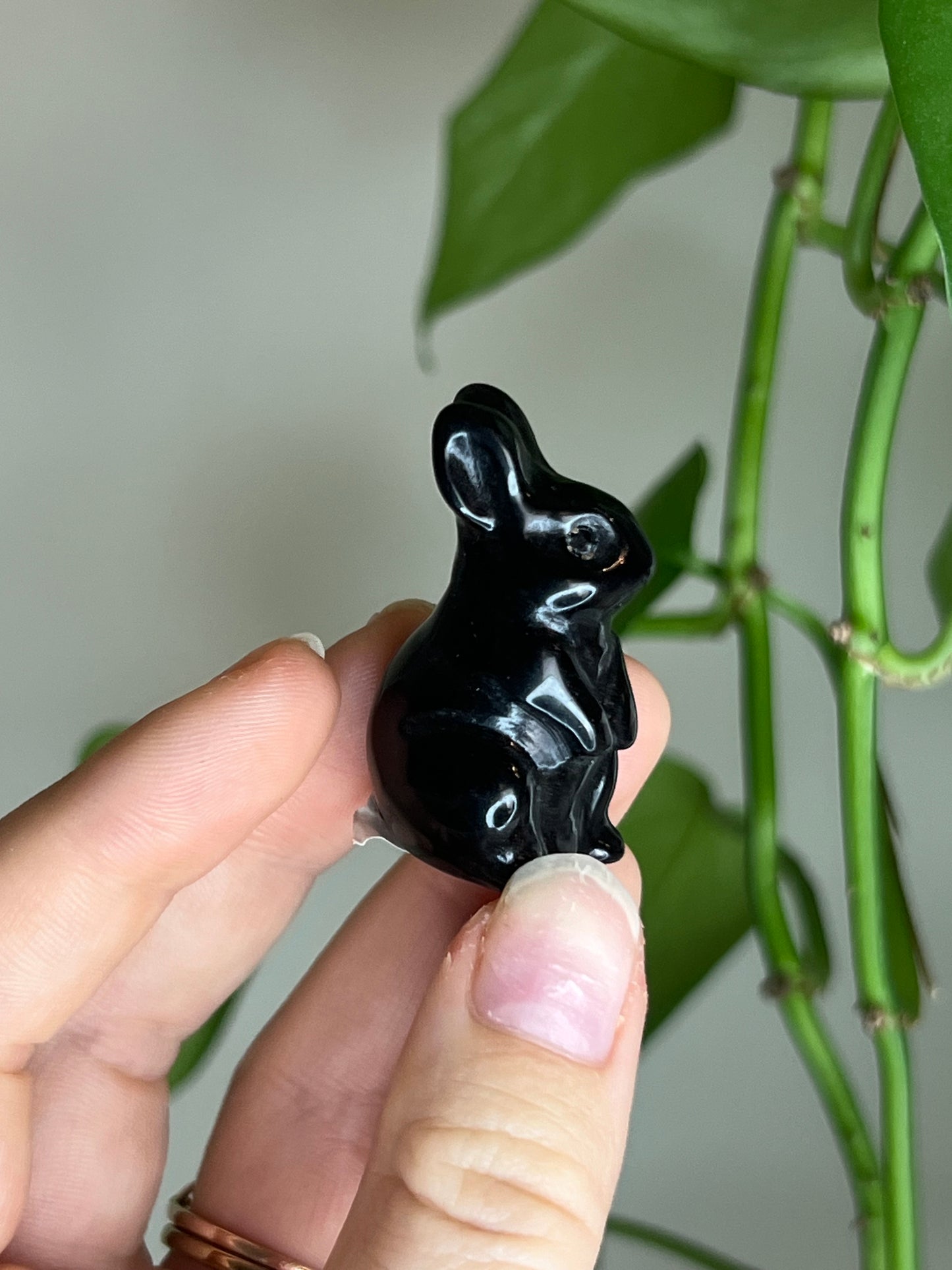 Black Obsidian Rabbit