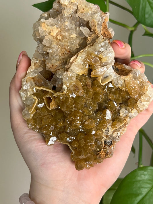 Golden Limonite Quartz Cluster - Large