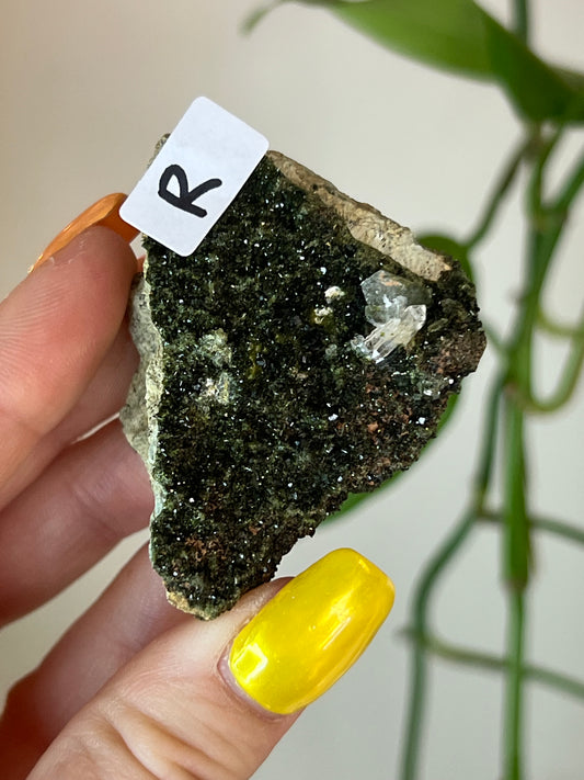 Forest Epidote Quartz Cluster - R