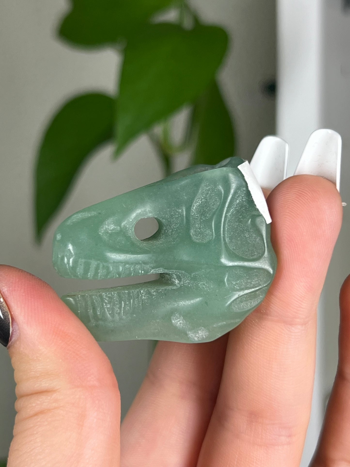 Green Aventurine Dinosaur Skull Head