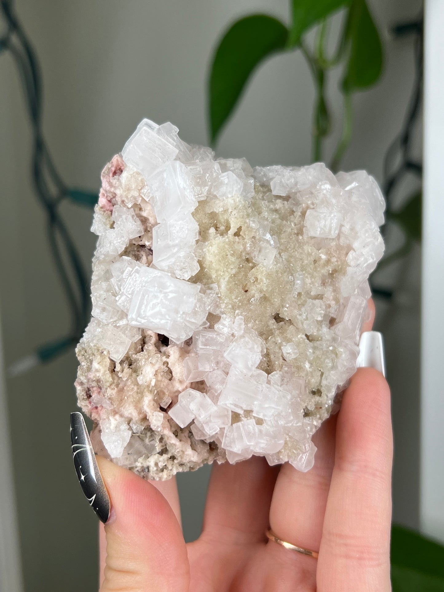 Pastel Pink Halite Cluster - Rare