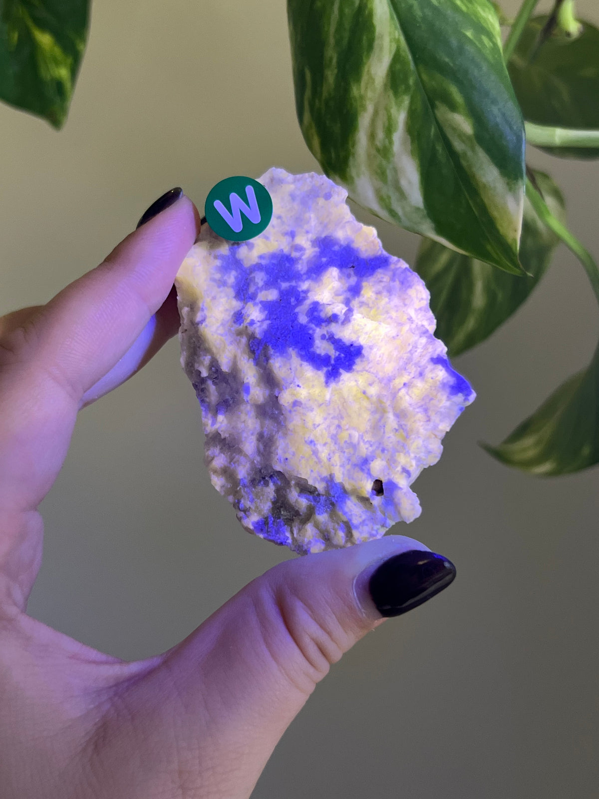 UV Reactive Meionite Scapolite Specimen - W