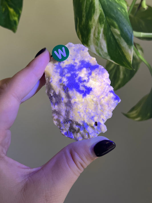 UV Reactive Meionite Scapolite Specimen - W