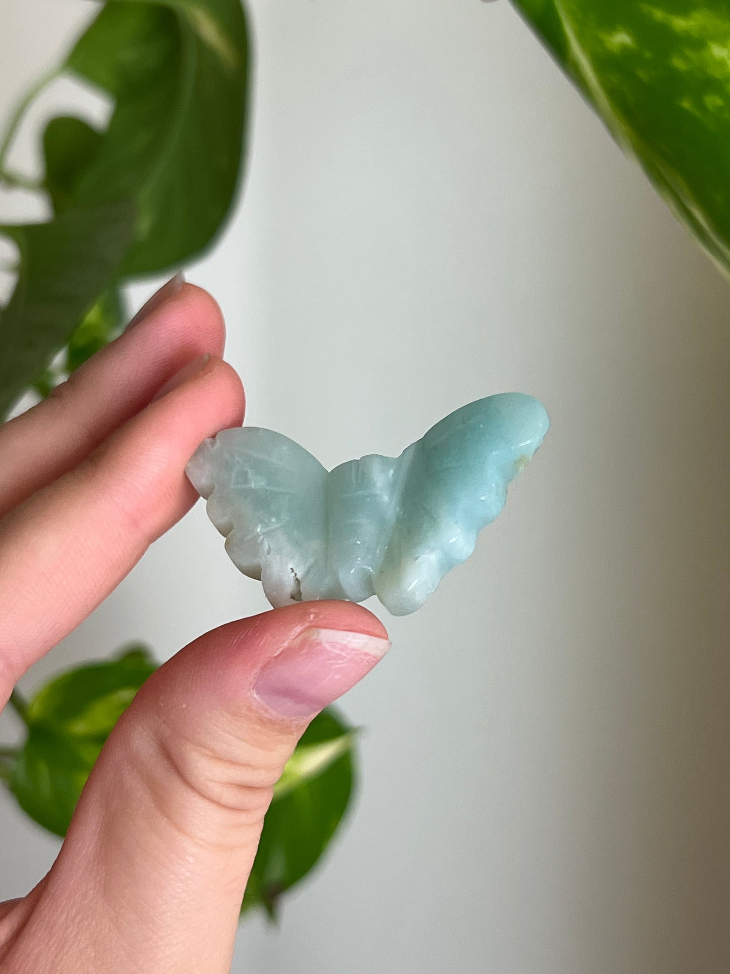 Amazonite Small Butterfly