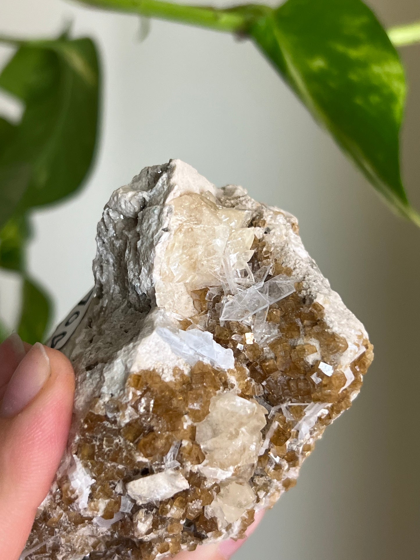 Deep Yellow Fluorite x Celestite Cluster * Rare