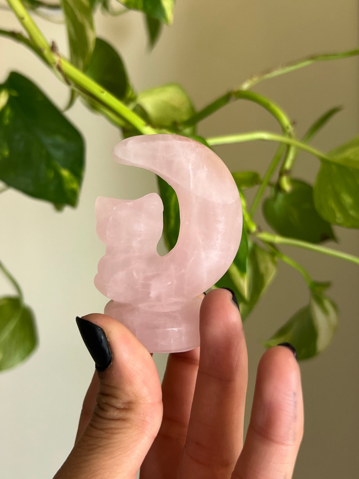 Rose Quartz Cat Moon