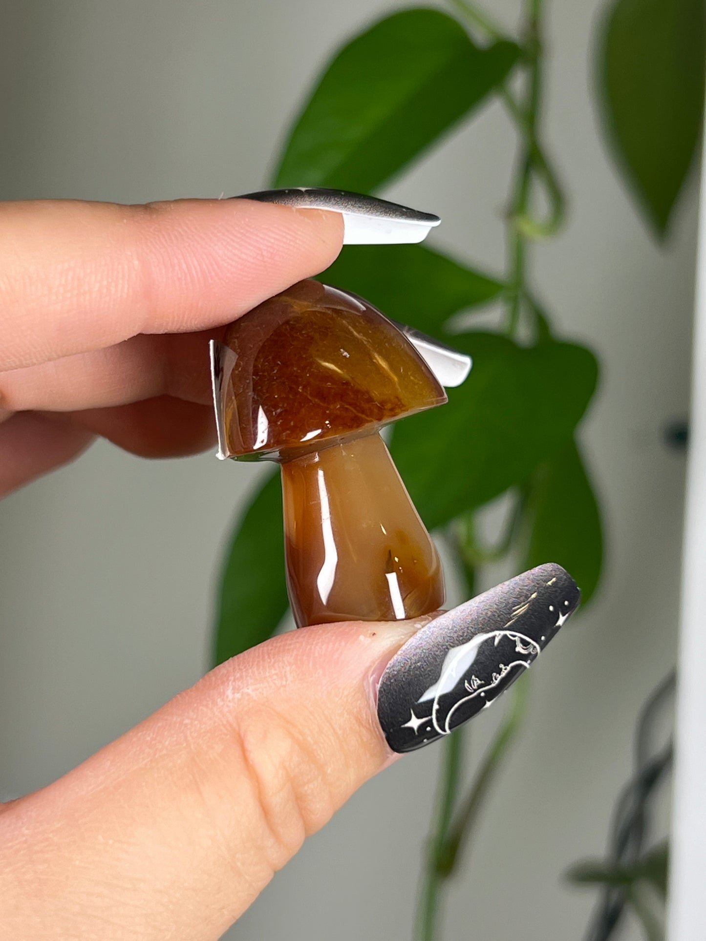 Carnelian Mushroom