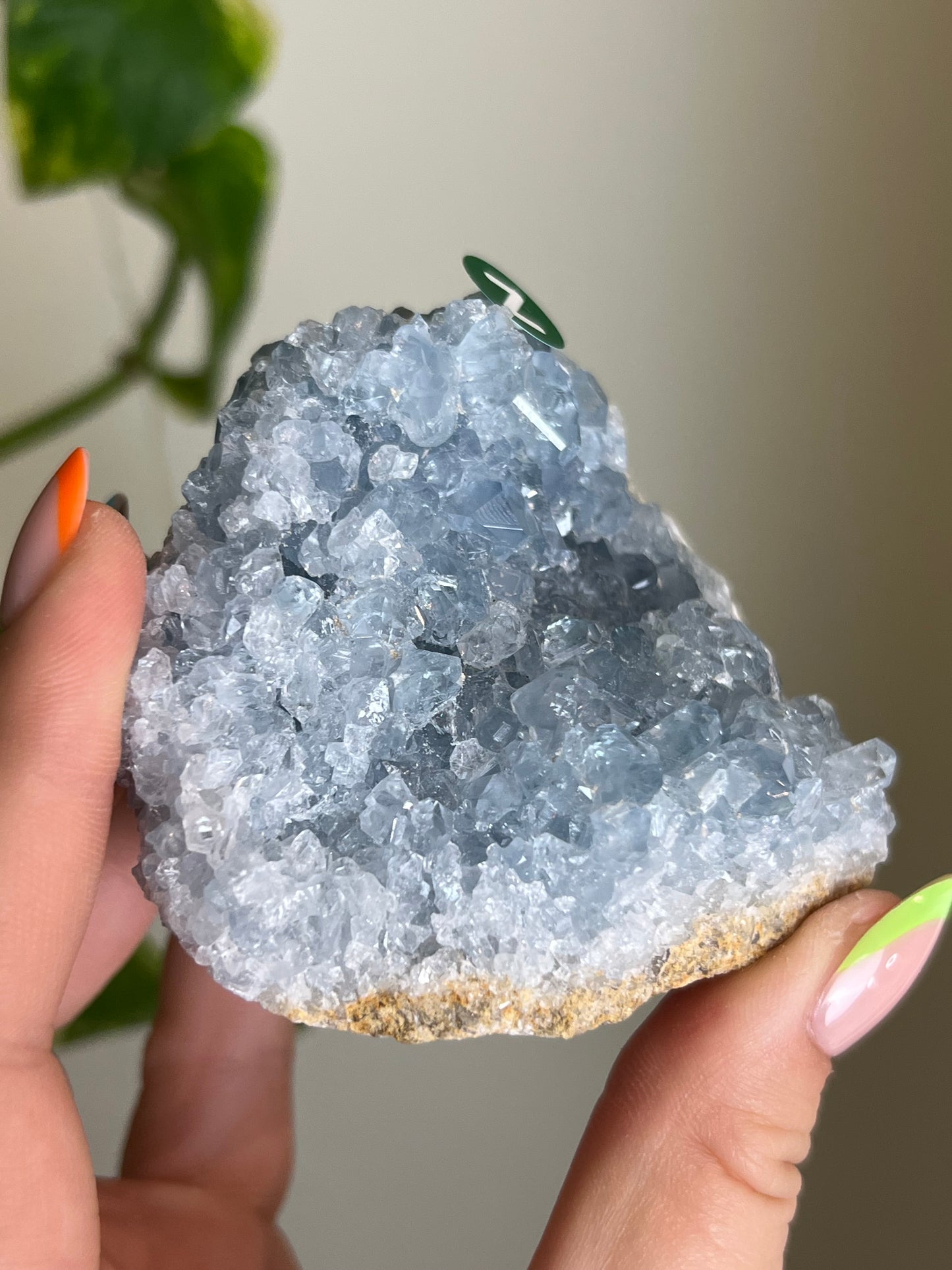 Celestite Cluster - Z 🌊