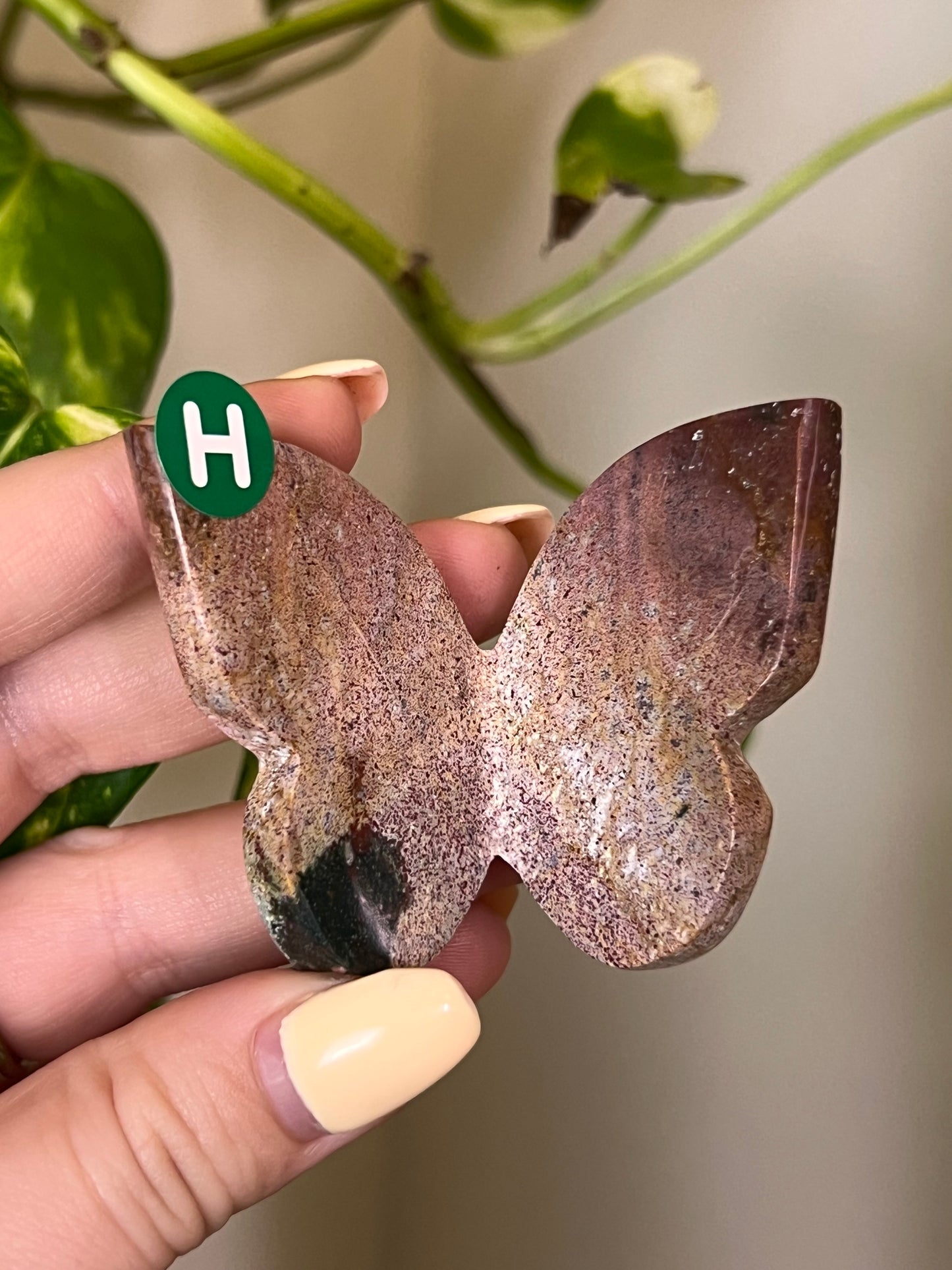 Ocean Jasper 3D Butterfly - H