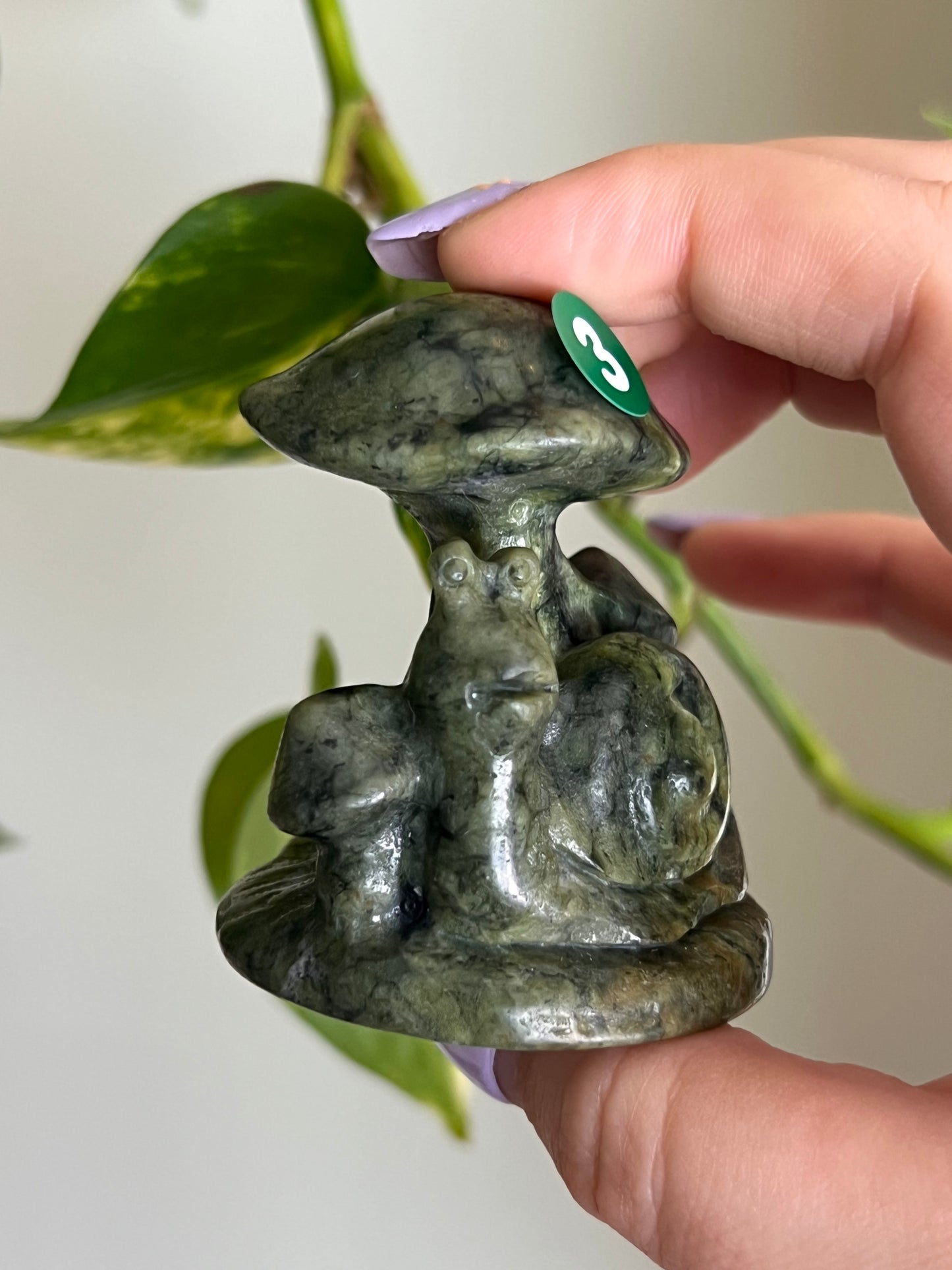 Jade Snail Under Mushroom - 3