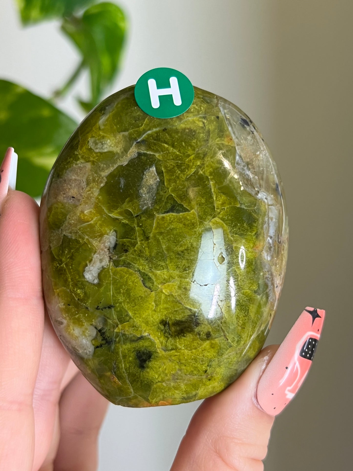 Green Opal Freeform - H 🌿
