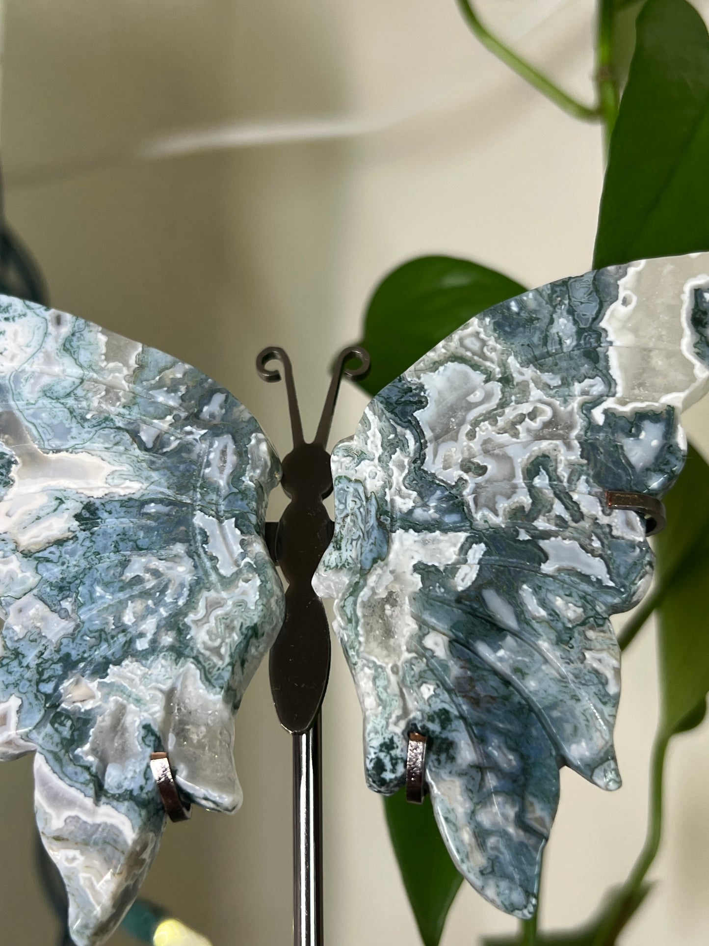 Moss Agate Butterfly Statement B