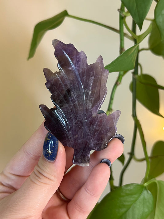 Amethyst Leaf