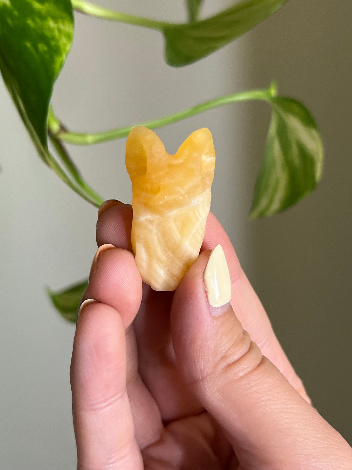 Orange Calcite Cozy Bat