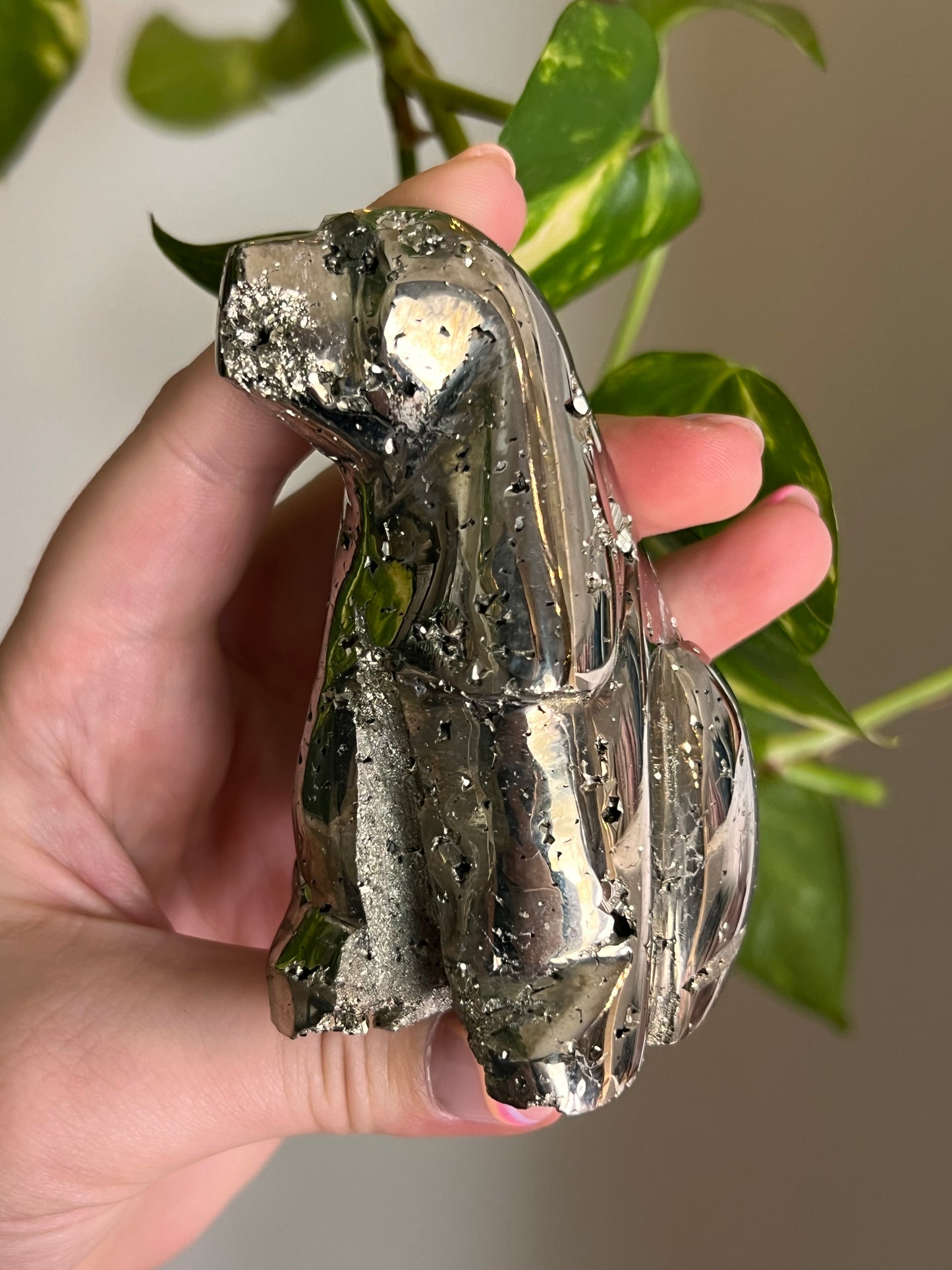 Druzy Pyrite Dog