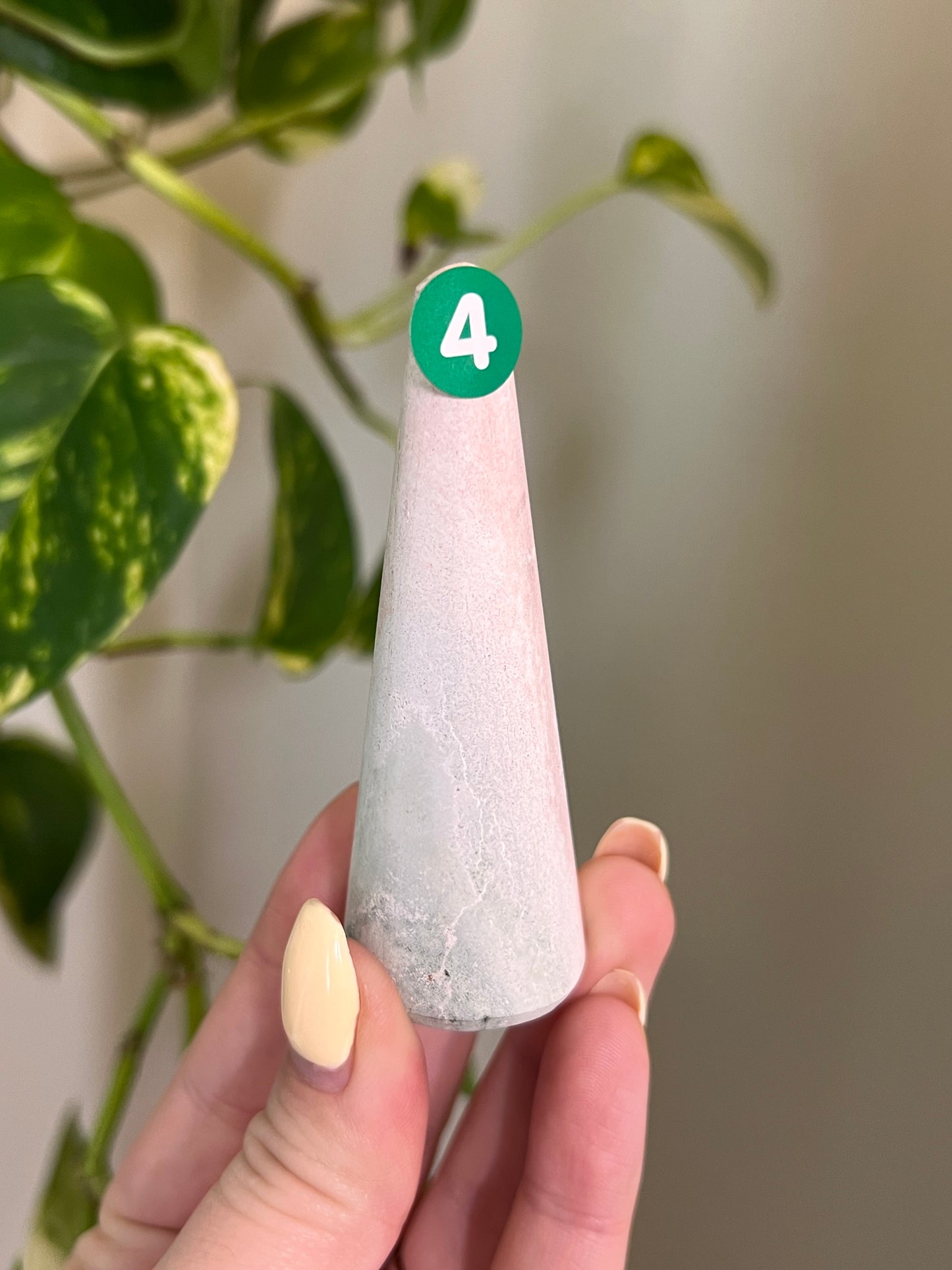 Unicorn Jasper Ring Holder - 4
