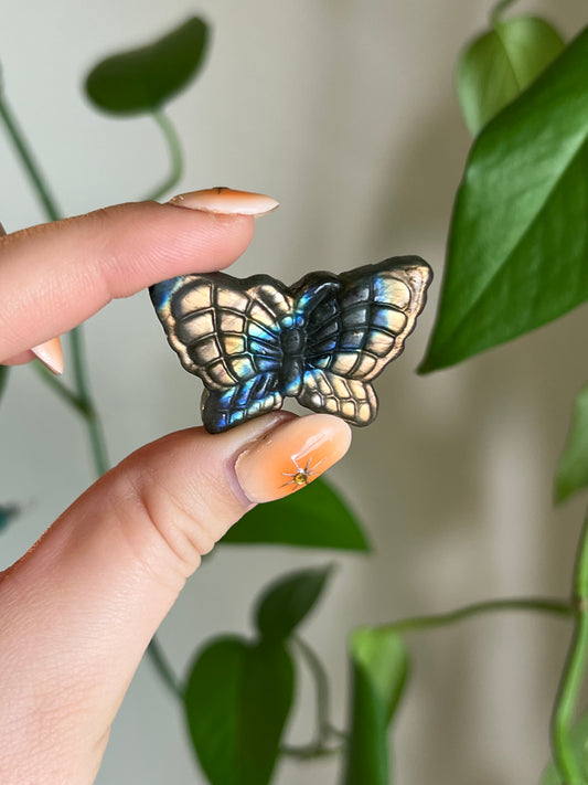 Labradorite Flashy Butterfly
