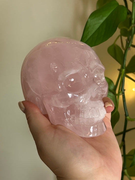 High Quality Rose Quartz XLarge Statement Skull