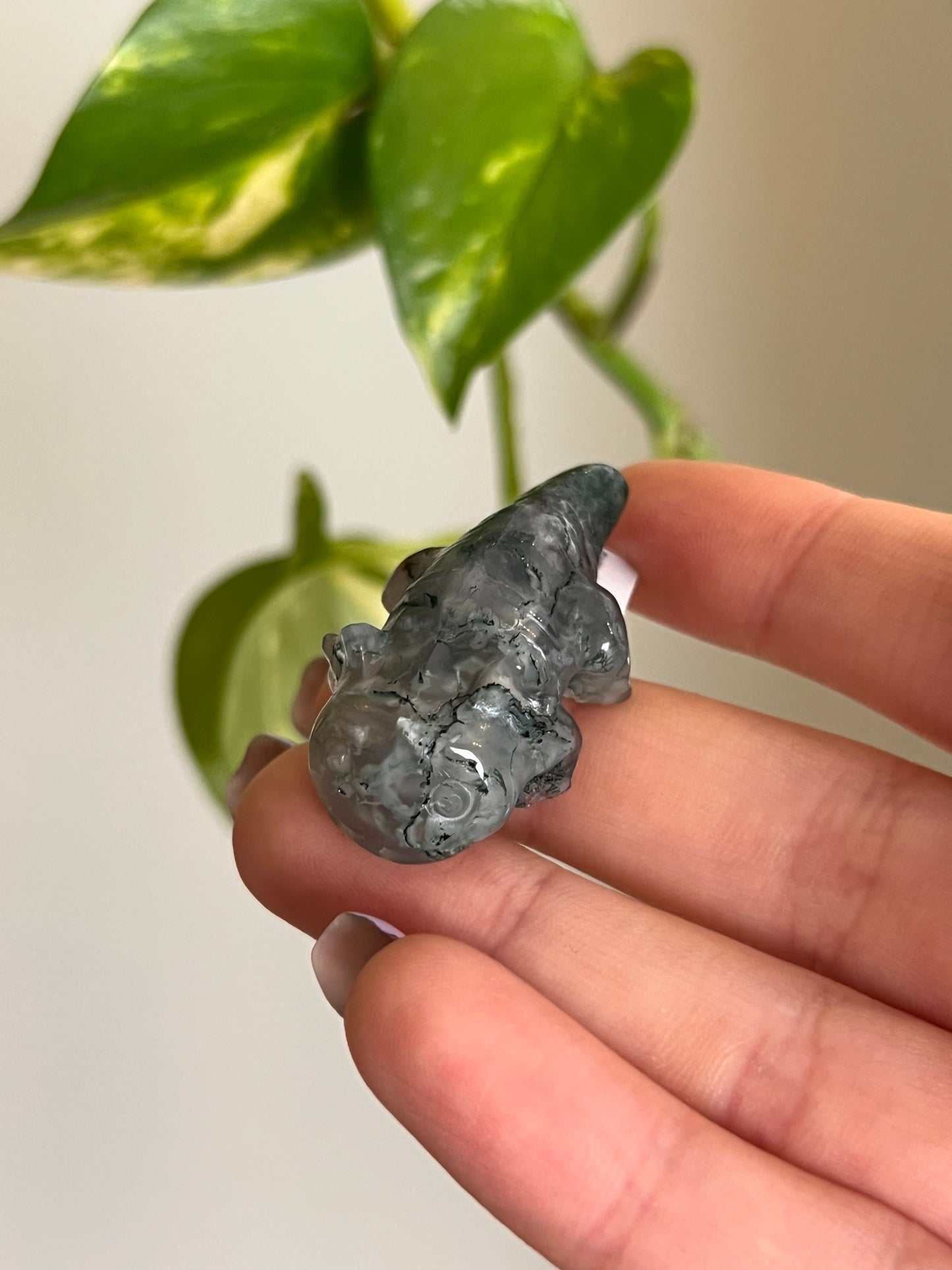Moss Agate Axolotl