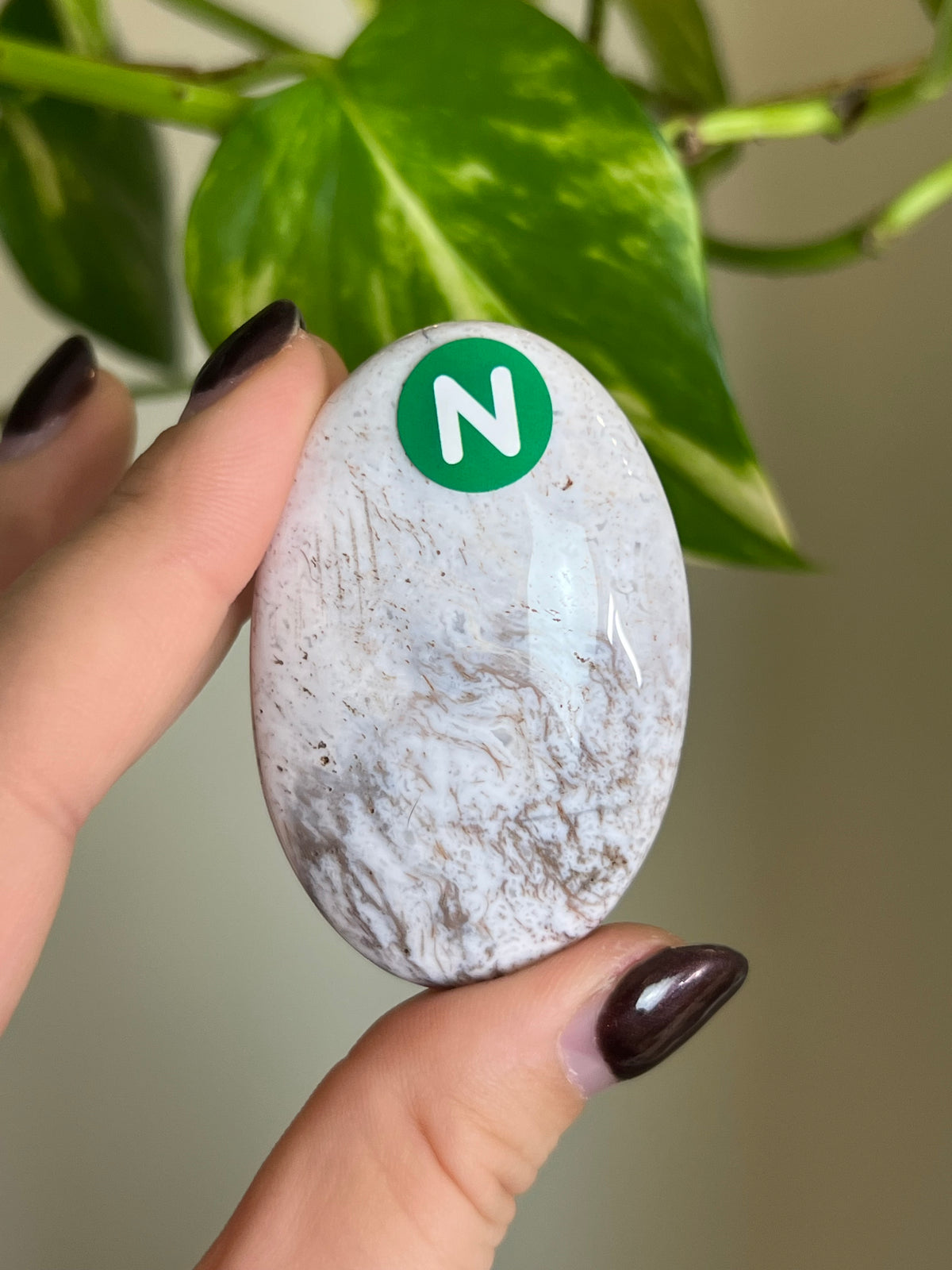 White Moss Agate Small Palm Stone - N